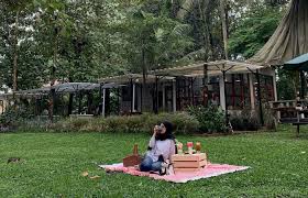 Hidden Eco Paradise Indonesia 2025: Tren Wisata Alam Ramah Lingkungan yang Sedang Viral